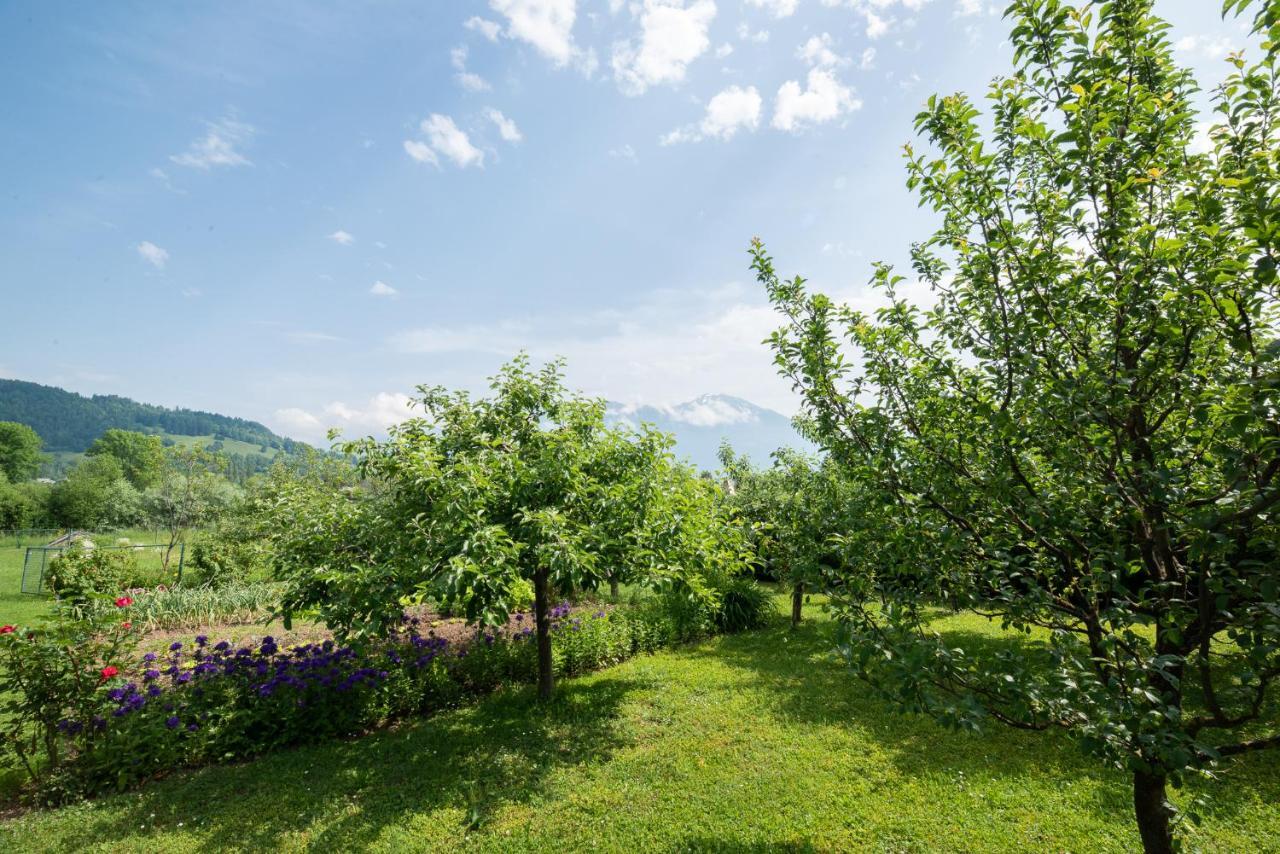 Apartmaji Trentelj 布莱德 外观 照片