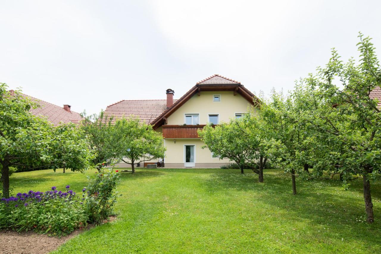 Apartmaji Trentelj 布莱德 外观 照片