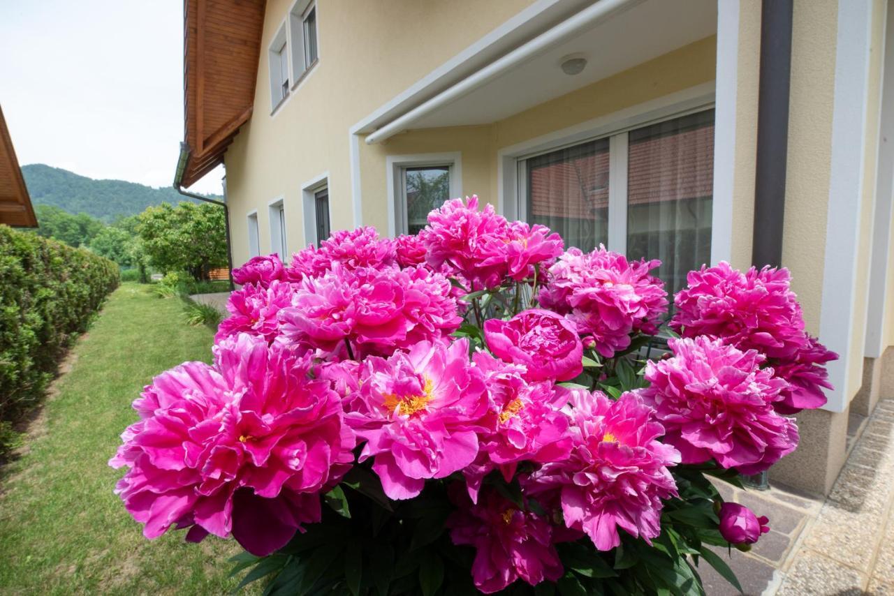 Apartmaji Trentelj 布莱德 外观 照片